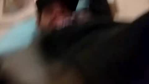 donglish718856 online show from December 15, 2:30 am