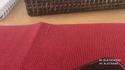 dr_tr03 online show from February 22, 3:24 pm