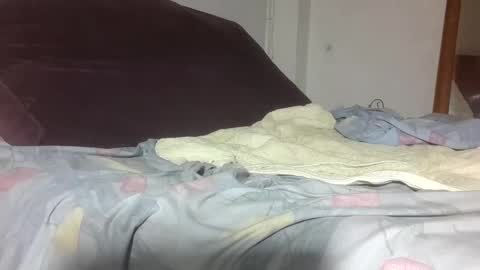 dragonred221 online show from October 8, 1:54 am