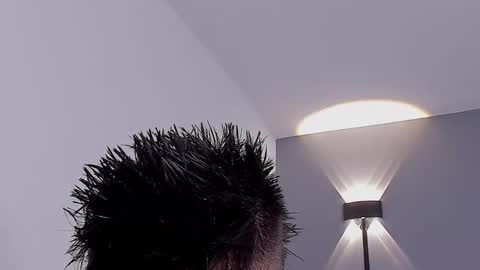 drake_carter1 online show from September 16, 2:12 am