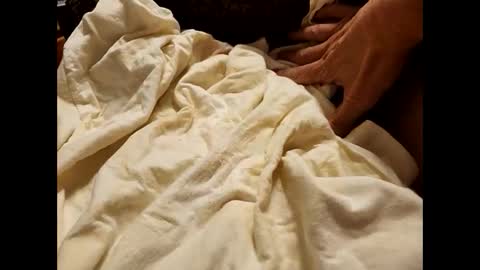 easygreasy83 online show from March 9, 2:50 am