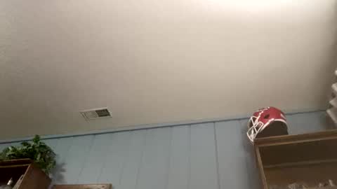 PiedPiper online show from April 5, 11:18 am