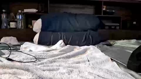 Daddytimesx online show from April 21, 6:36 pm