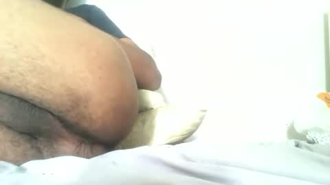 englisharabcock online show from October 11, 12:42 pm