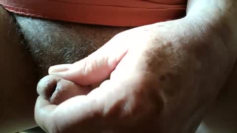 evamale online show from September 8, 2:49 pm