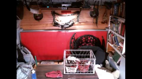 EvPierce online show from March 30, 4:24 am