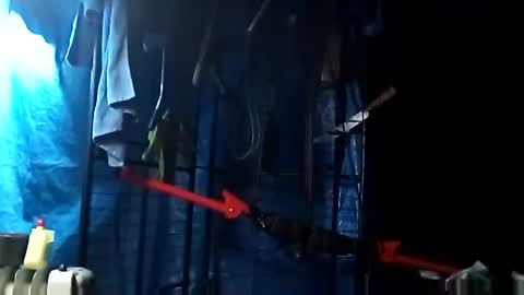 fallguyb1875150 online show from October 20, 2:54 pm