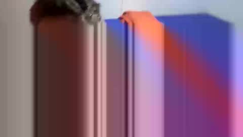 Inmate 001400 online show from December 28, 10:47 am