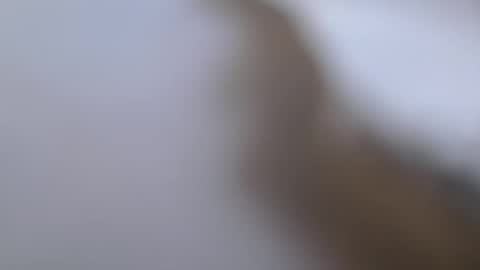 fastball15400 online show from December 18, 8:05 pm