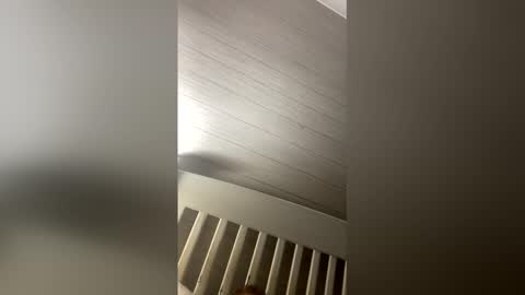 femdomsubby online show from March 22, 12:21 pm