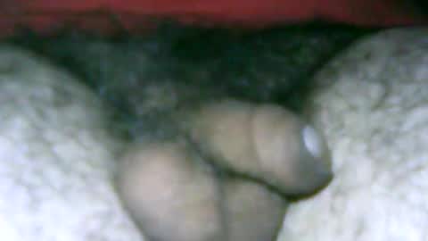 Snapshot of fer_2197 chatting on January 14, 12:35 pm fer_2197 online show from January 14, 12:35 pm
