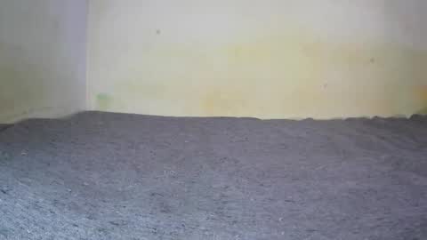 Snapshot of fernando_tlk chatting on January 5, 7:49 pm Fern Tlk online show from January 5, 7:49 pm
