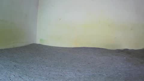 Snapshot of fernando_tlk chatting on January 26, 7:41 pm Fern Tlk online show from January 26, 7:41 pm