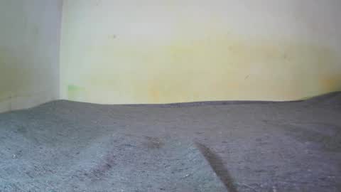 Snapshot of fernando_tlk chatting on February 9, 7:41 pm Fern Tlk online show from February 9, 7:41 pm