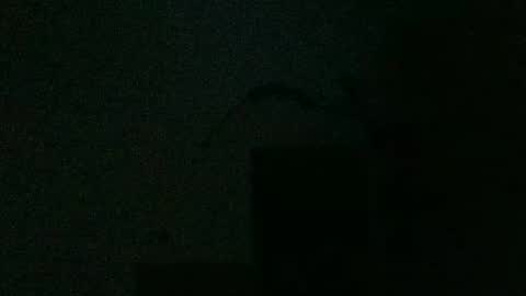 Snapshot of fine_nice chatting on February 2, 2:38 am fine_nice online show from February 2, 2:38 am