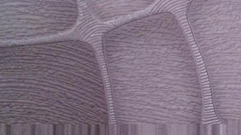 flicker77 online show from November 13, 11:15 am