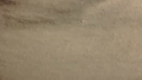floppyycollegedude online show from October 13, 11:05 am