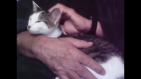 Snapshot of foolmonty chatting on October 12, 12:59 am Hooz2no online show from October 12, 12:59 am