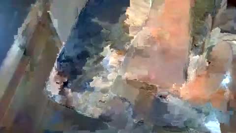 Snapshot of forest133 chatting on January 5, 1:36 pm forest133 online show from January 5, 1:36 pm