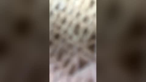 fransicus1988 online show from March 19, 9:45 am