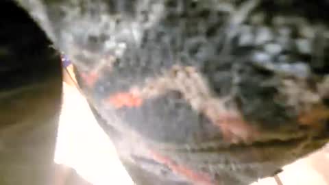 freddyalready online show from February 24, 3:12 am