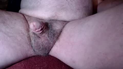 freeamos online show from December 27, 2:04 am