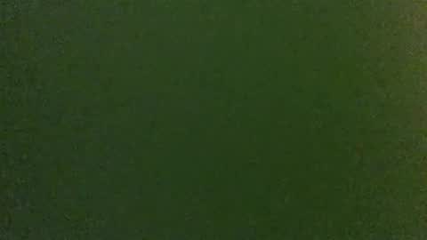 Fabian online show from April 28, 5:23 am