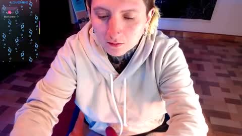          HEHIM  online show from January 20, 1:42 pm