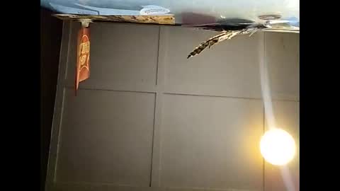 Warwick online show from November 23, 10:59 am