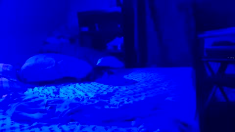 fukmyassnmouth online show from October 15, 6:54 am