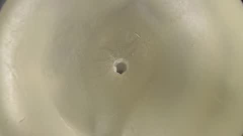 Pablo Longaniza online show from October 9, 10:36 pm