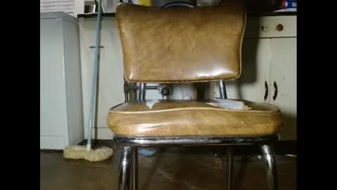 Fuzzy Blues online show from January 15, 8:58 pm