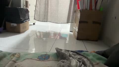 gab021593 online show from January 14, 3:06 pm