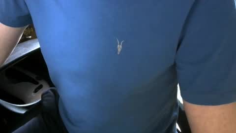 gay slave on cam online show from December 20, 10:22 am