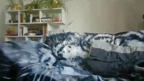 Geon online show from September 28, 12:14 pm