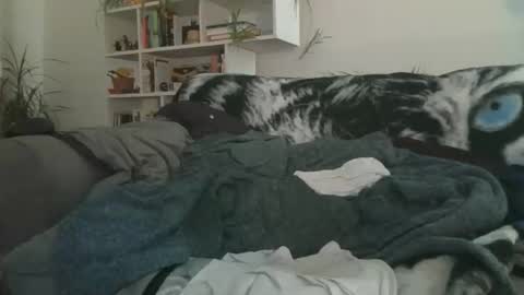 Geon online show from November 7, 9:01 am