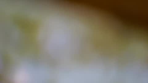 germanandy71 online show from November 20, 8:13 am