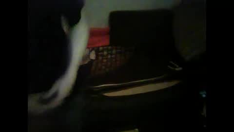 Snapshot of germantslover39 chatting on February 3, 6:39 pm Alex39 online show from February 3, 6:39 pm