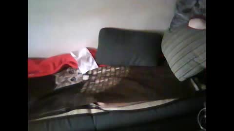 Snapshot of germantslover39 chatting on February 7, 12:50 pm Alex39 online show from February 7, 12:50 pm