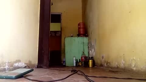 Gaby online show from October 13, 5:19 pm