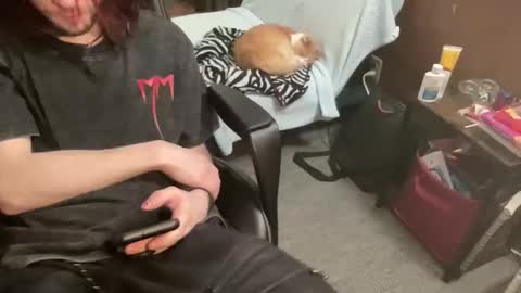 ghostboygbc online show from November 26, 5:32 am