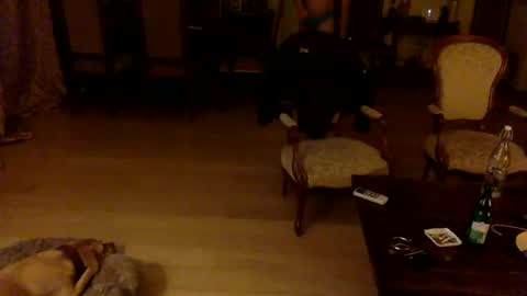 Snapshot of giannispr1998 chatting on December 18, 10:02 pm Horny Sissy online show from December 18, 10:02 pm