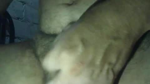 GuidoGiovan online show from October 20, 8:29 am