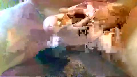 girafsnoop online show from November 3, 2:52 pm