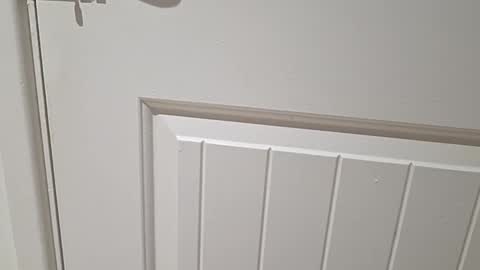 Gloscam online show from November 23, 11:16 pm