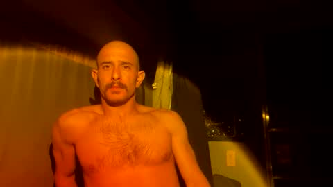 gofoxgo40 online show from October 13, 7:03 am