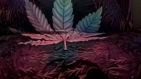 Goldcmen online show from January 1, 7:09 am