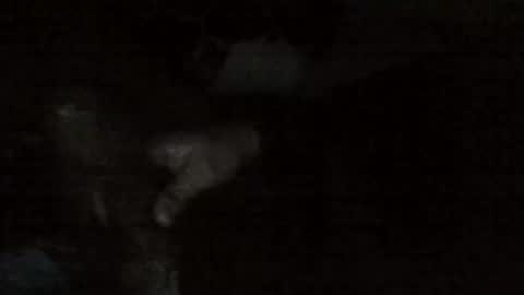 Snapshot of goldroom332 chatting on March 4, 4:27 am goldroom332 online show from March 4, 4:27 am