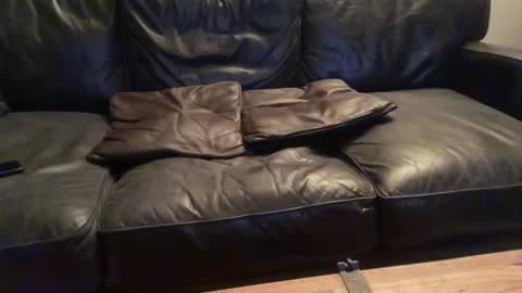 grandmufftwerking online show from September 16, 10:43 pm