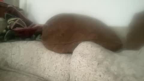 Sonny online show from December 21, 6:05 pm